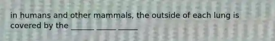 in humans and other mammals, the outside of each lung is covered by the ______ _____ _____