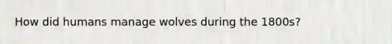 How did humans manage wolves during the 1800s?