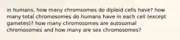 in humans, how many chromsomes do diploid cells have? how many total chromosomes do humans have in each cell (except gametes)? how many chromosomes are autosomal chromosomes and how many are sex chromosomes?