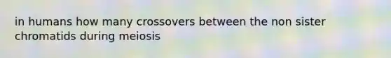 in humans how many crossovers between the non sister chromatids during meiosis