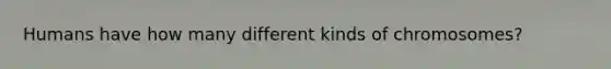 Humans have how many different kinds of chromosomes?