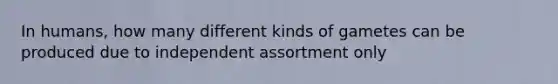 In humans, how many different kinds of gametes can be produced due to independent assortment only