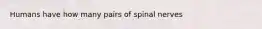 Humans have how many pairs of spinal nerves