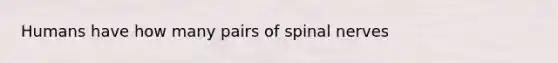 Humans have how many pairs of spinal nerves