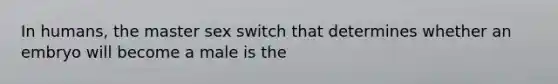 In humans, the master sex switch that determines whether an embryo will become a male is the