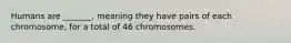 Humans are _______, meaning they have pairs of each chromosome, for a total of 46 chromosomes.