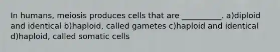 In humans, meiosis produces cells that are __________. a)diploid and identical b)haploid, called gametes c)haploid and identical d)haploid, called somatic cells