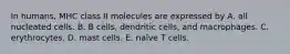 In humans, MHC class II molecules are expressed by A. all nucleated cells. B. B cells, dendritic cells, and macrophages. C. erythrocytes. D. mast cells. E. naïve T cells.