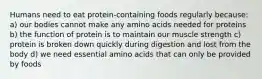 Humans need to eat protein-containing foods regularly because: a) our bodies cannot make any amino acids needed for proteins b) the function of protein is to maintain our muscle strength c) protein is broken down quickly during digestion and lost from the body d) we need essential amino acids that can only be provided by foods