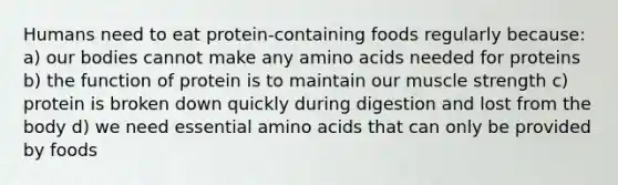 Humans need to eat protein-containing foods regularly because: a) our bodies cannot make any amino acids needed for proteins b) the function of protein is to maintain our muscle strength c) protein is broken down quickly during digestion and lost from the body d) we need essential amino acids that can only be provided by foods