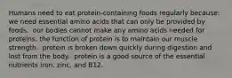 Humans need to eat protein-containing foods regularly because:​ ​ we need essential amino acids that can only be provided by foods. ​ our bodies cannot make any amino acids needed for proteins. ​the function of protein is to maintain our muscle strength. ​ protein is broken down quickly during digestion and lost from the body. ​ protein is a good source of the essential nutrients iron, zinc, and B12.