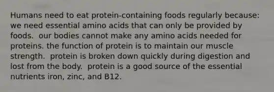 Humans need to eat protein-containing foods regularly because:​ ​ we need essential amino acids that can only be provided by foods. ​ our bodies cannot make any amino acids needed for proteins. ​the function of protein is to maintain our muscle strength. ​ protein is broken down quickly during digestion and lost from the body. ​ protein is a good source of the essential nutrients iron, zinc, and B12.