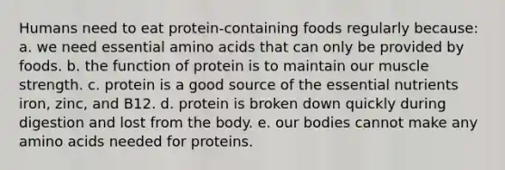 Humans need to eat protein-containing foods regularly because: a. we need essential amino acids that can only be provided by foods. b. the function of protein is to maintain our muscle strength. c. protein is a good source of the essential nutrients iron, zinc, and B12. d. protein is broken down quickly during digestion and lost from the body. e. our bodies cannot make any amino acids needed for proteins.