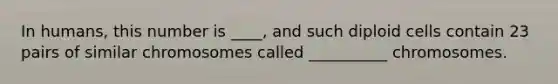 In humans, this number is ____, and such diploid cells contain 23 pairs of similar chromosomes called __________ chromosomes.