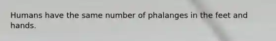 Humans have the same number of phalanges in the feet and hands.