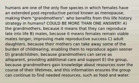 humans are one of the only five species in which females have an extended post-reproductive period known as menopause, making them "grandmothers". who benefits from this life history strategy in humans? COULD BE MORE THAN ONE ANSWER! A) the grandmothers, because it means that they can reproduce late into life B) males, because it means females remain viable mates longer, improving male reproductive success C) adult daughters, because their mothers can take away some of the burden of childrearing, enabling them to reproduce again sooner D) grandchildren, because grandmothers can serve as alloparent, providing additional care and support E) the group, because grandmothers gain knowledge about resources over the course of their lifetimes, and this information ensures the group can continue to find needed resources, such as food and water.