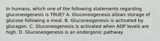 In humans, which one of the following statements regarding gluconeogenesis is TRUE? A. Gluconeogenesis allows storage of glucose following a meal. B. Gluconeogenesis is activated by glucagon. C. Gluconeogenesis is activated when ADP levels are high. D. Gluconeogenesis is an endergonic pathway.