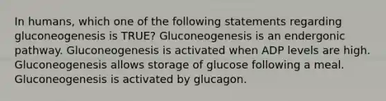 In humans, which one of the following statements regarding gluconeogenesis is TRUE? Gluconeogenesis is an endergonic pathway. Gluconeogenesis is activated when ADP levels are high. Gluconeogenesis allows storage of glucose following a meal. Gluconeogenesis is activated by glucagon.