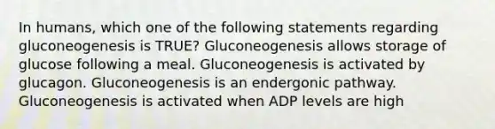 In humans, which one of the following statements regarding gluconeogenesis is TRUE? Gluconeogenesis allows storage of glucose following a meal. Gluconeogenesis is activated by glucagon. Gluconeogenesis is an endergonic pathway. Gluconeogenesis is activated when ADP levels are high