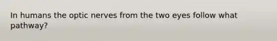 In humans the optic nerves from the two eyes follow what pathway?