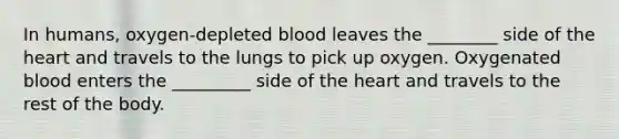 In humans, oxygen-depleted blood leaves the ________ side of the heart and travels to the lungs to pick up oxygen. Oxygenated blood enters the _________ side of the heart and travels to the rest of the body.