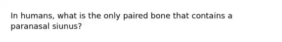 In humans, what is the only paired bone that contains a paranasal siunus?