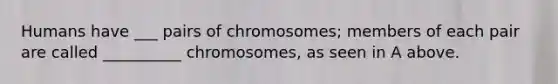 Humans have ___ pairs of chromosomes; members of each pair are called __________ chromosomes, as seen in A above.