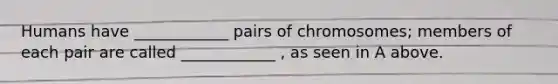 Humans have ____________ pairs of chromosomes; members of each pair are called ____________ , as seen in A above.