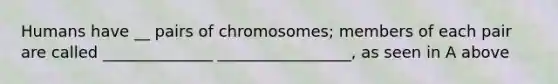 Humans have __ pairs of chromosomes; members of each pair are called ______________ _________________, as seen in A above