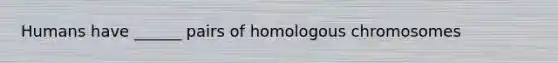 Humans have ______ pairs of homologous chromosomes