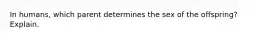 In humans, which parent determines the sex of the offspring? Explain.