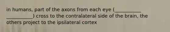 in humans, part of the axons from each eye (___________ ___________) cross to the contralateral side of the brain, the others project to the ipsilateral cortex