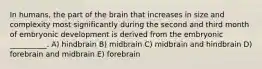 In humans, the part of the brain that increases in size and complexity most significantly during the second and third month of embryonic development is derived from the embryonic __________. A) hindbrain B) midbrain C) midbrain and hindbrain D) forebrain and midbrain E) forebrain