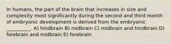 In humans, the part of the brain that increases in size and complexity most significantly during the second and third month of embryonic development is derived from the embryonic __________. A) hindbrain B) midbrain C) midbrain and hindbrain D) forebrain and midbrain E) forebrain