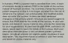 In humans, PFKR is a protein that is secreted from cells. A team of scientists decide to redirect PFKR to the inside of the nucleus instead of having it secreted. The scientists change the primary protein sequence so that it is no longer secreted from the cell (it remains in the cytosol), but unfortunately, the modified protein does not enter the nucleus. A) Describe what additional change(s) to the primary protein structure you would suggest to ensure that PFKR reaches the inside of the nucleus. In your own words, and based on course material only, provide the reasoning for your suggestion(s). B) Describe the path PFKR, outlined in (A) above, would take to reach the inside of the nucleus. Start your description from the place in the cell where protein synthesis begins. Include all relevant cell regions and/or structures in your description. This response should be written in your own words and based on course material only.