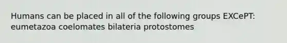 Humans can be placed in all of the following groups EXCePT: eumetazoa coelomates bilateria protostomes