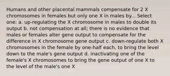 Humans and other placental mammals compensate for 2 X chromosomes in females but only one X in males by... Select one: a. up-regulating the X chromosome in males to double its output b. not compensation at all; there is no evidence that males or females alter gene output to compensate for the difference in X chromosome gene output c. down-regulate both X chromosomes in the female by one-half each, to bring the level down to the male's gene output d. inactivating one of the female's X chromosomes to bring the gene output of one X to the level of the male's one X