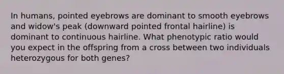 In humans, pointed eyebrows are dominant to smooth eyebrows and widow's peak (downward pointed frontal hairline) is dominant to continuous hairline. What phenotypic ratio would you expect in the offspring from a cross between two individuals heterozygous for both genes?