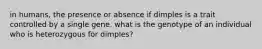 in humans, the presence or absence if dimples is a trait controlled by a single gene. what is the genotype of an individual who is heterozygous for dimples?