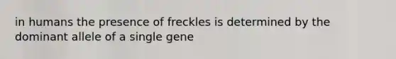 in humans the presence of freckles is determined by the dominant allele of a single gene