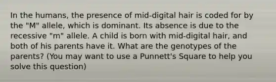 In the humans, the presence of mid-digital hair is coded for by the "M" allele, which is dominant. Its absence is due to the recessive "m" allele. A child is born with mid-digital hair, and both of his parents have it. What are the genotypes of the parents? (You may want to use a Punnett's Square to help you solve this question)