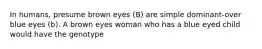 In humans, presume brown eyes (B) are simple dominant-over blue eyes (b). A brown eyes woman who has a blue eyed child would have the genotype