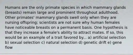 Humans are the only primate species in which mammary glands (breasts) remain large and prominent throughout adulthood. Other primates' mammary glands swell only when they are nursing offspring; scientists are not sure why human females have noticeable breasts on a permanent basis. One hypothesis is that they increase a female's ability to attract mates. If so, this would be an example of a trait favored by... a) artificial selection b) sexual selection c) natural selection d) genetic drift e) gene flow