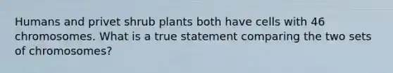 Humans and privet shrub plants both have cells with 46 chromosomes. What is a true statement comparing the two sets of chromosomes?