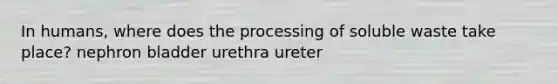 In humans, where does the processing of soluble waste take place? nephron bladder urethra ureter