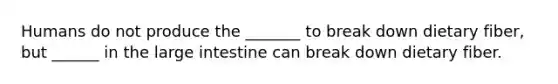 Humans do not produce the _______ to break down dietary fiber, but ______ in the large intestine can break down dietary fiber.