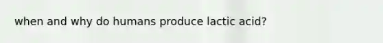 when and why do humans produce lactic acid?