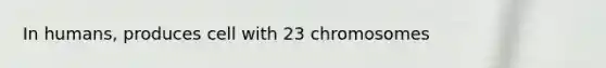 In humans, produces cell with 23 chromosomes