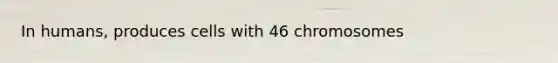 In humans, produces cells with 46 chromosomes