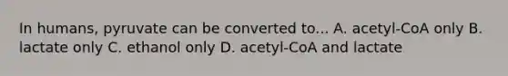 In humans, pyruvate can be converted to... A. acetyl-CoA only B. lactate only C. ethanol only D. acetyl-CoA and lactate